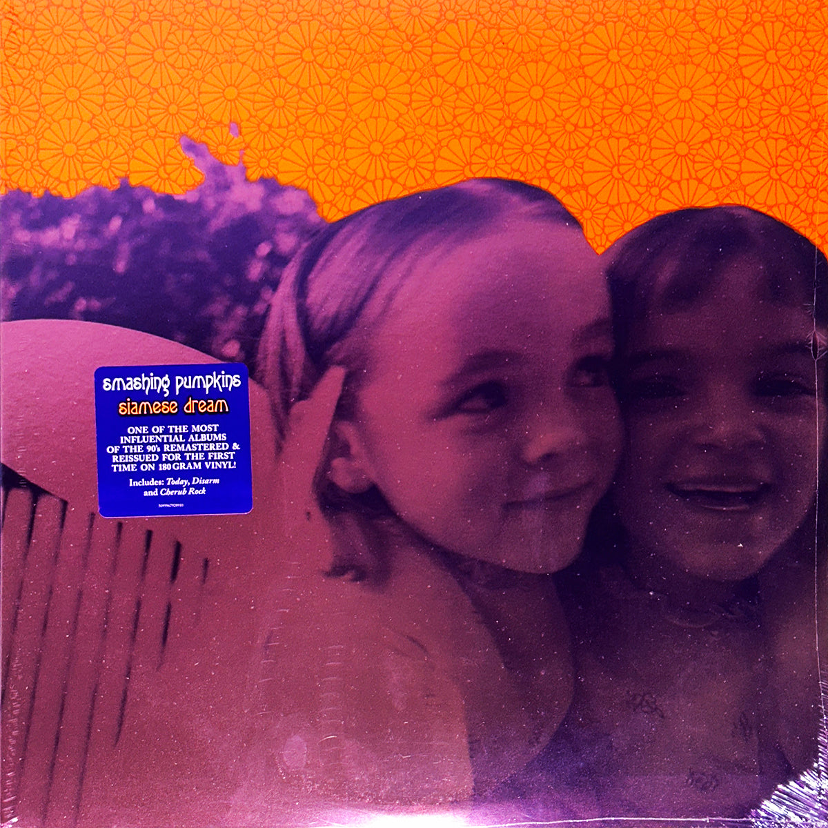 The Smashing Pumpkins - Siamese Dream (180G Vinyl 2LP)