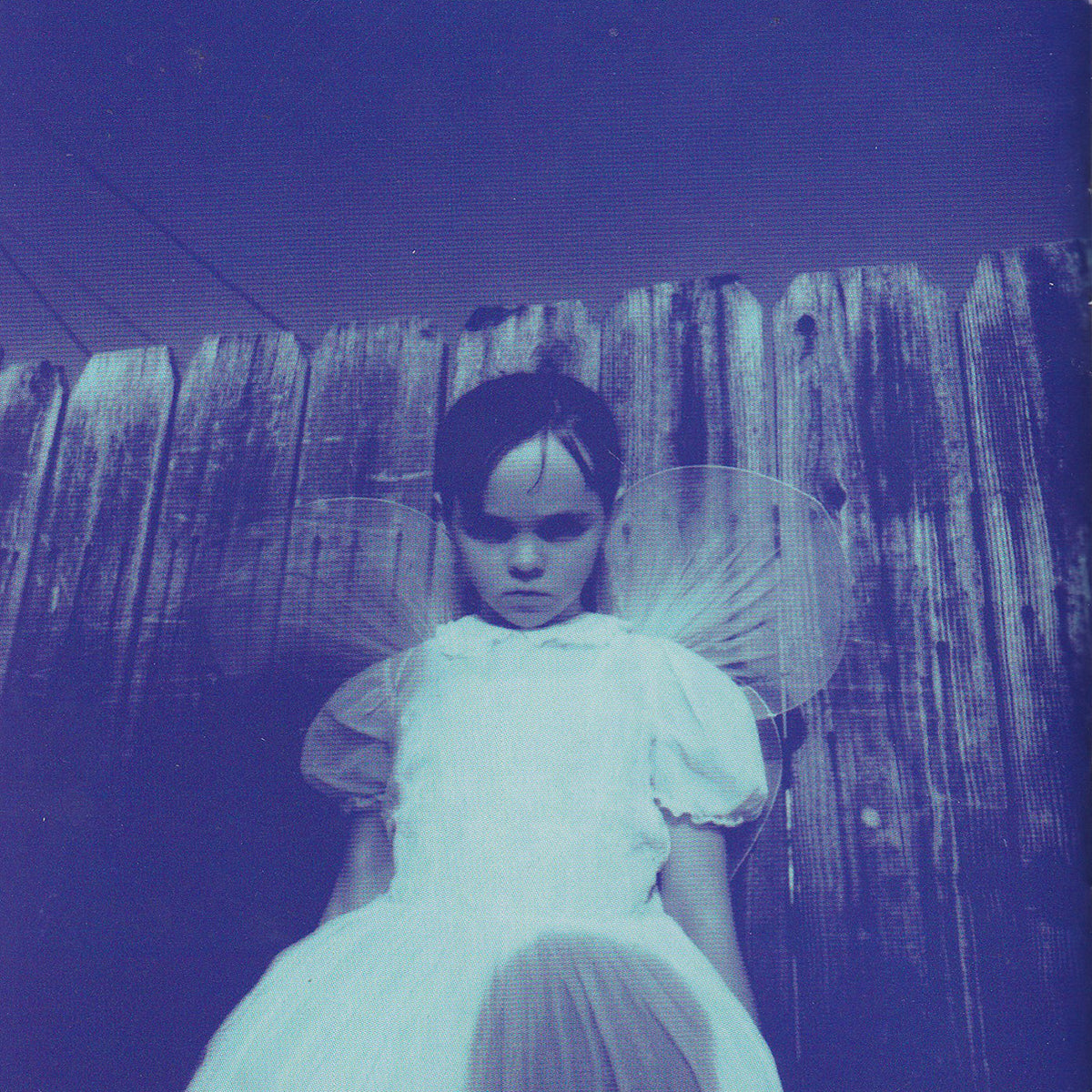 Siamese Dream