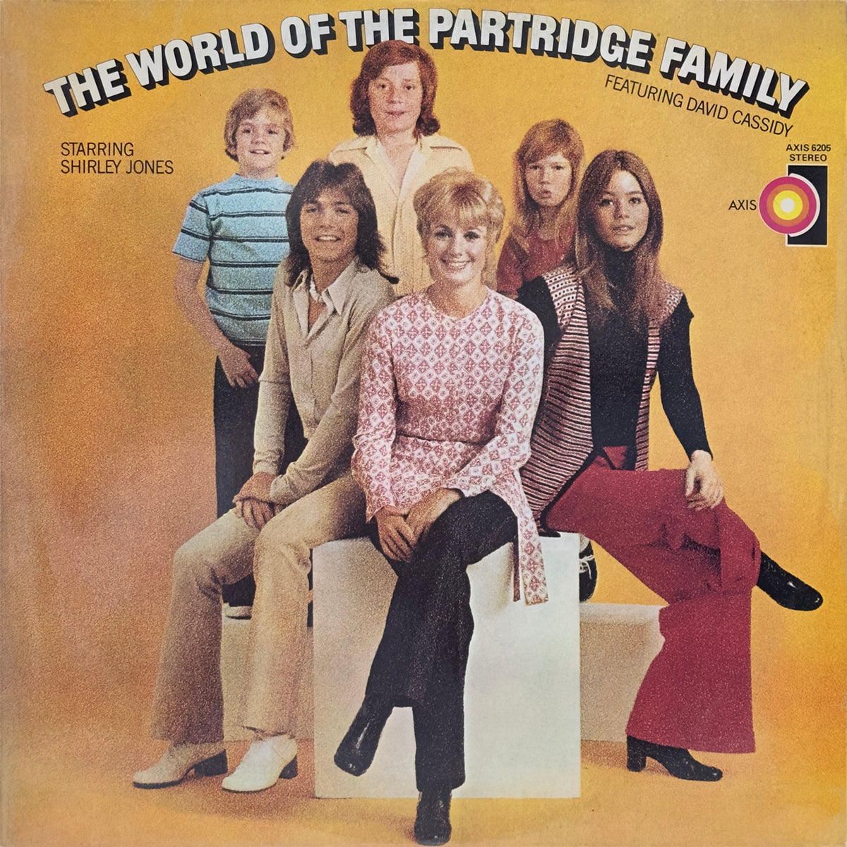 The World Of The Partridge Family