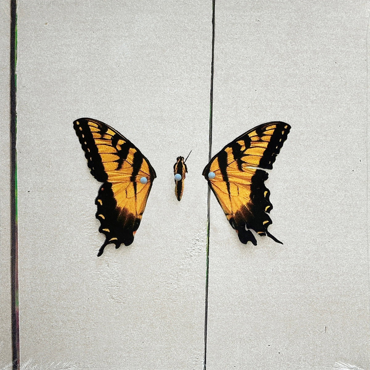 Brand New Eyes