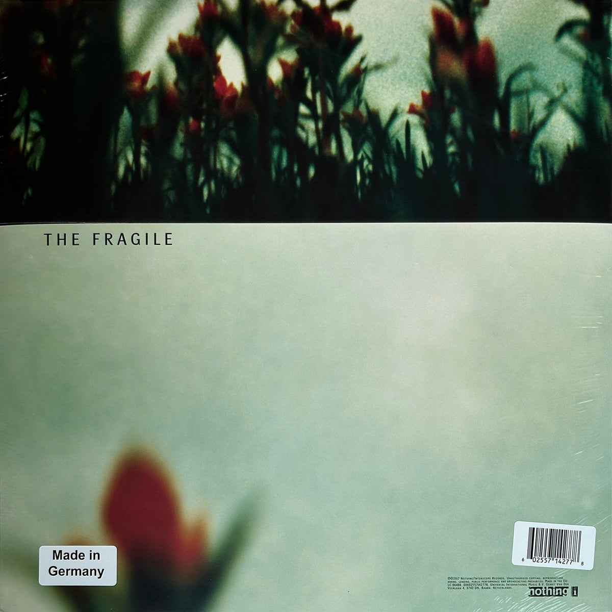 The Fragile