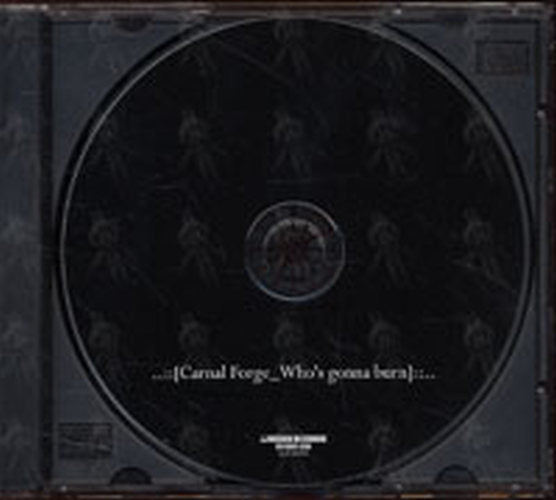 CARNAL FORGE - Who&#39;s Gonna Burn - 2