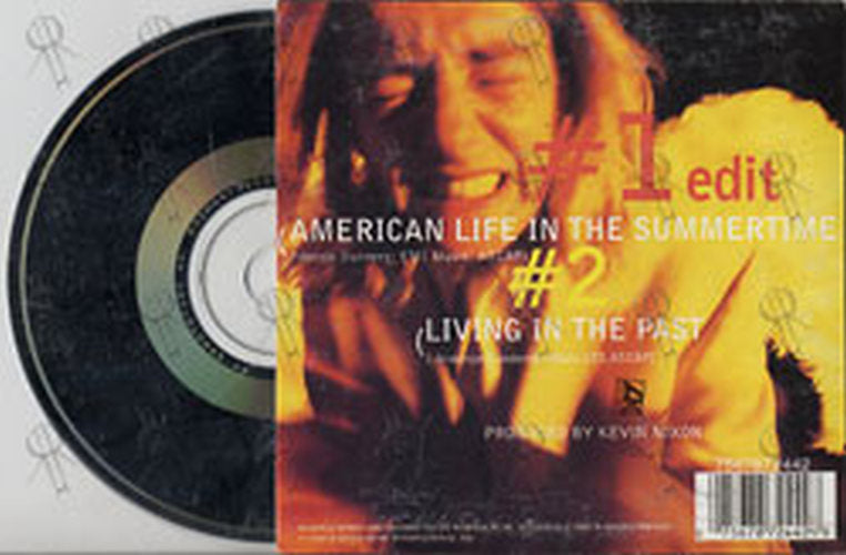 DUNNERY-- FRANCIS - American Life In The Summertime Time - 2