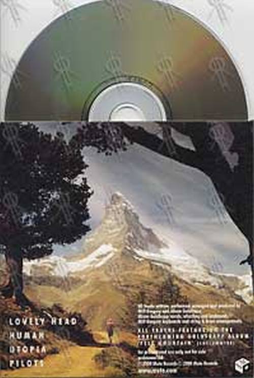 GOLDFRAPP - Felt Mountain - 2