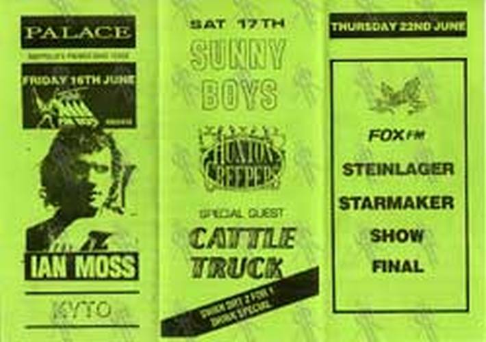 IAN MOSS|JEFF HEALEY BAND|SUNNY BOYS - 1989 Palace Flyer - 2