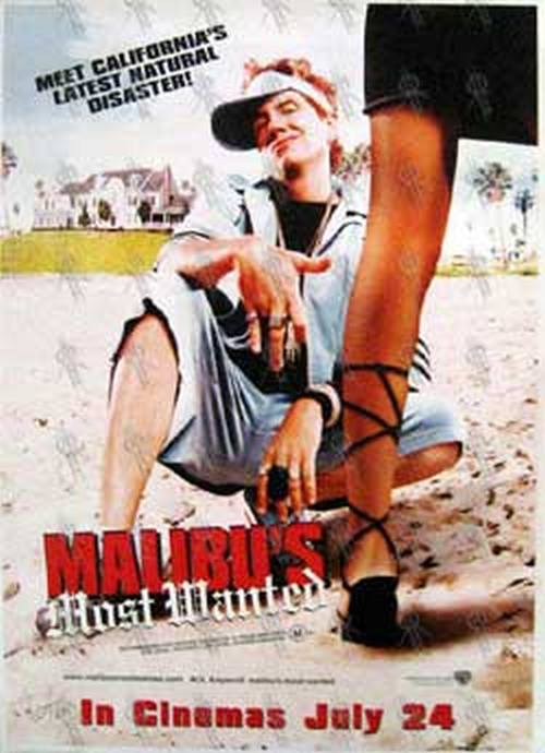 MALIBU&#39;S MOST WANTED - &#39;Malibu&#39;s Most Wanted&#39; Film Poster - 1