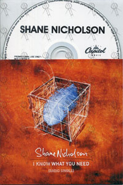 NICHOLSON-- SHANE - I Know What You Need - 1