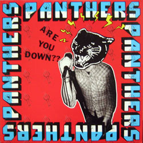 PANTHERS - Are You Down?? - 1