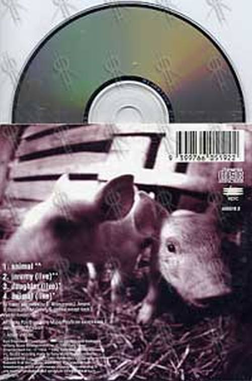 PEARL JAM - Animal - 2