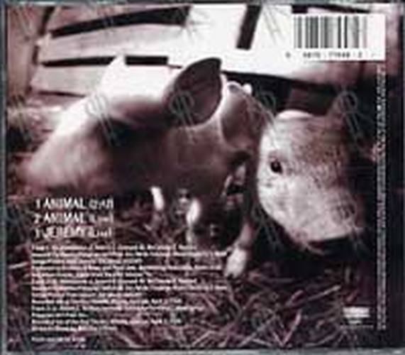 PEARL JAM - Animal - 2