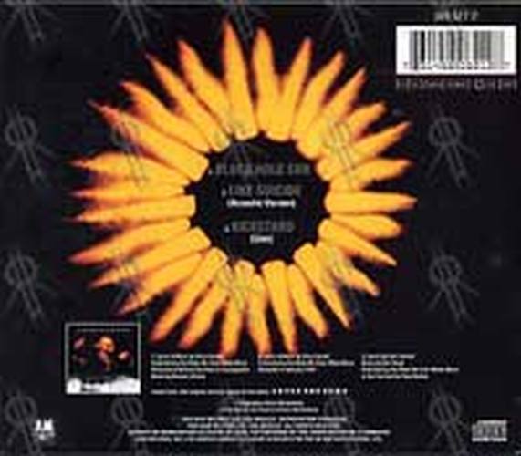 SOUNDGARDEN - Black Hole Sun - 2