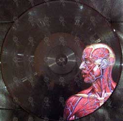 TOOL - Lateralus - 7