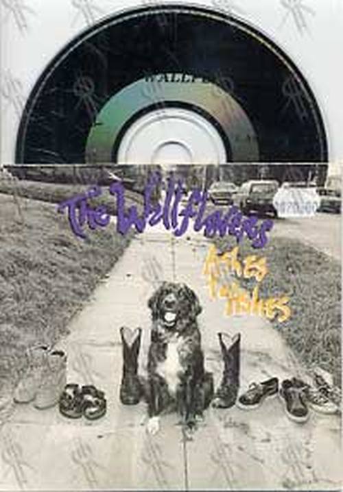 WALLFLOWERS-- THE - Ashes To Ashes - 1